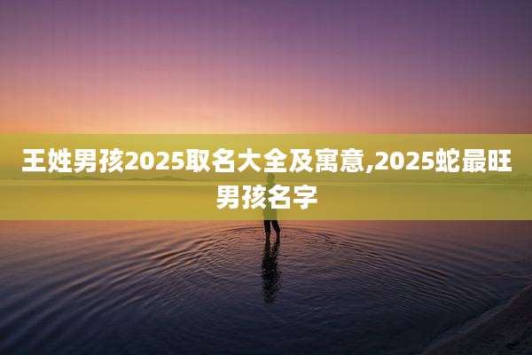 王姓男孩2025取名大全及寓意,2025蛇最旺男孩名字