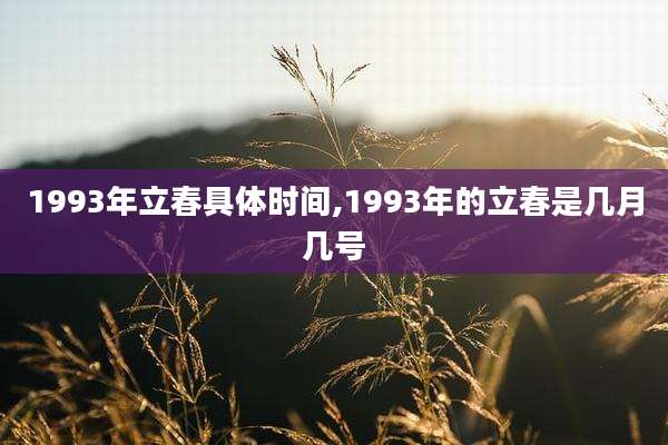 1993年立春具体时间,1993年的立春是几月几号