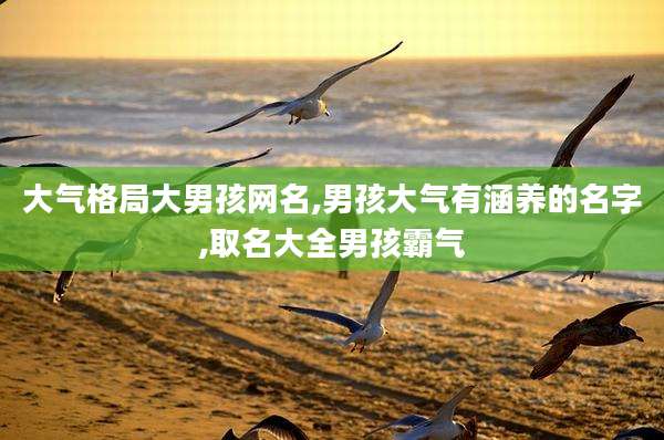 大气格局大男孩网名,男孩大气有涵养的名字,取名大全男孩霸气