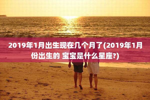 2019年1月出生现在几个月了(2019年1月份出生的 宝宝是什么星座?)