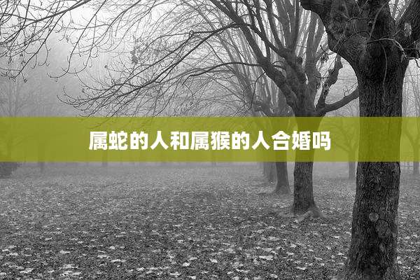 属蛇的人和属猴的人合婚吗