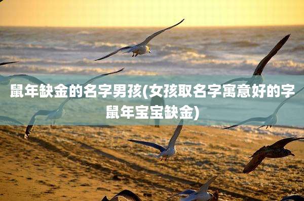 鼠年缺金的名字男孩(女孩取名字寓意好的字鼠年宝宝缺金)