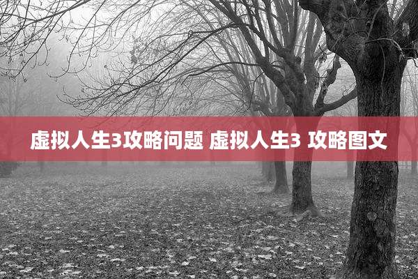 虚拟人生3攻略问题 虚拟人生3 攻略图文