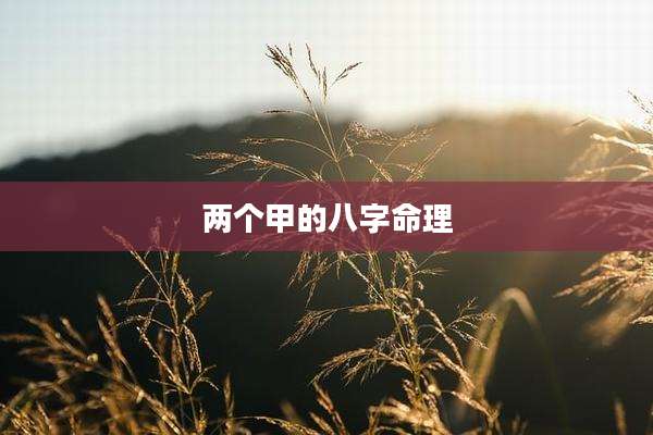 两个甲的八字命理