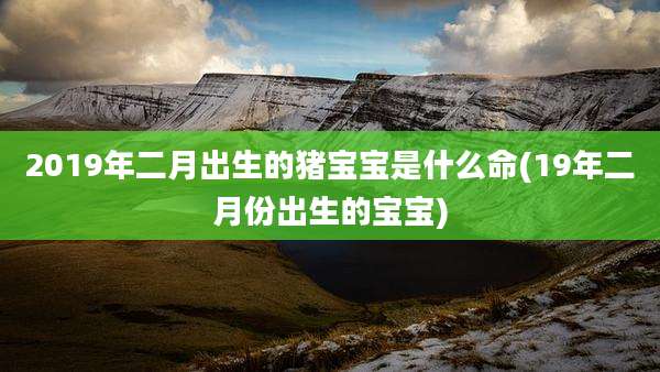 2019年二月出生的猪宝宝是什么命(19年二月份出生的宝宝)