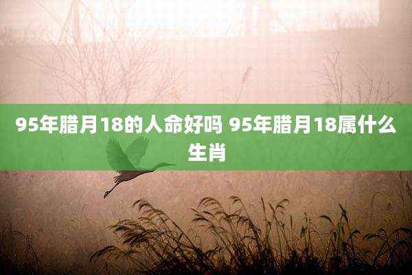 95年腊月18的人命好吗 95年腊月18属什么生肖