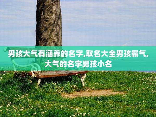 男孩大气有涵养的名字,取名大全男孩霸气,大气的名字男孩小名