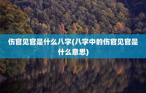 伤官见官是什么八字(八字中的伤官见官是什么意思)
