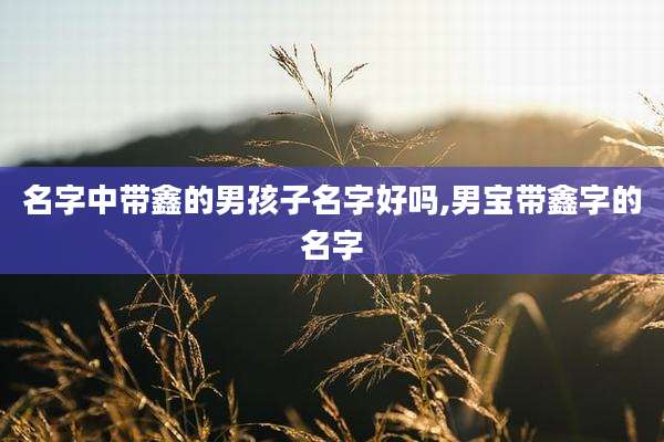 名字中带鑫的男孩子名字好吗,男宝带鑫字的名字