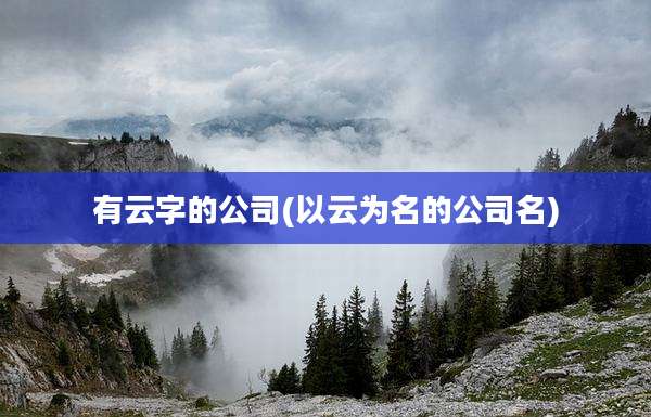 有云字的公司(以云为名的公司名)