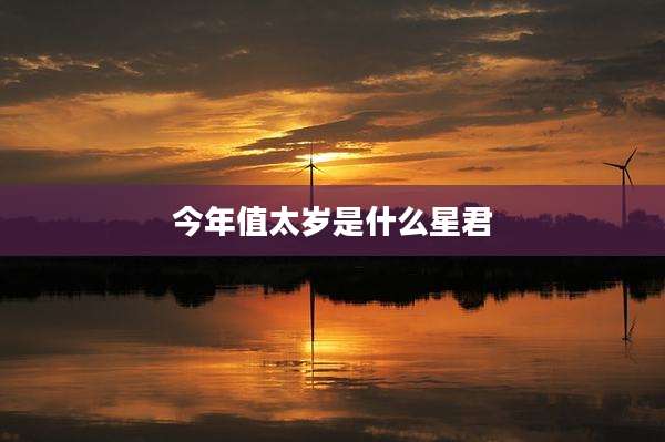 今年值太岁是什么星君