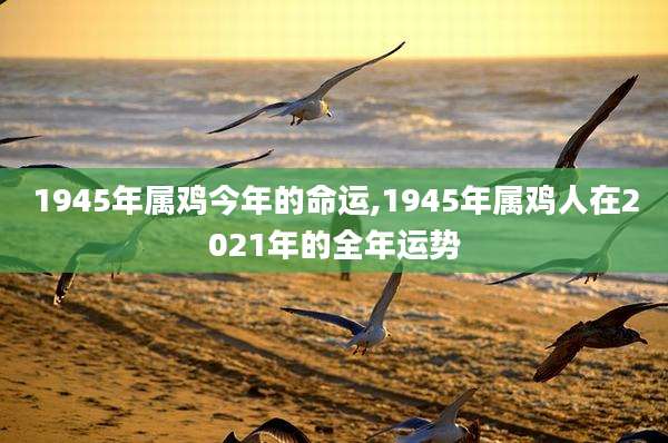 1945年属鸡今年的命运,1945年属鸡人在2021年的全年运势