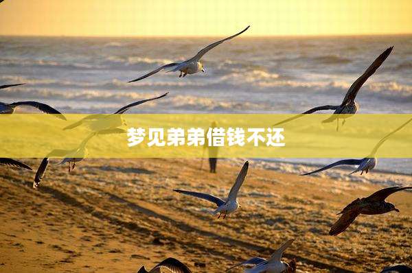 梦见弟弟借钱不还