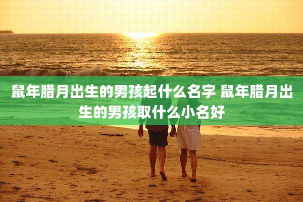鼠年腊月出生的男孩起什么名字 鼠年腊月出生的男孩取什么小名好