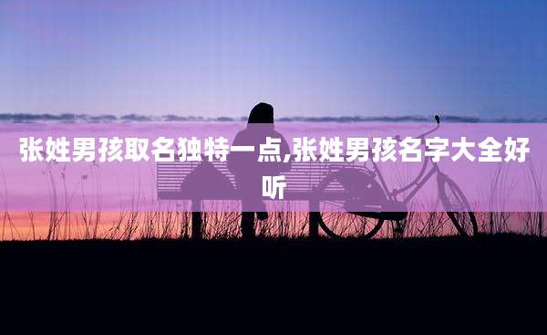 张姓男孩取名独特一点,张姓男孩名字大全好听
