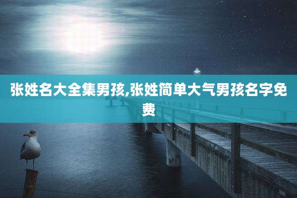 张姓名大全集男孩,张姓简单大气男孩名字免费