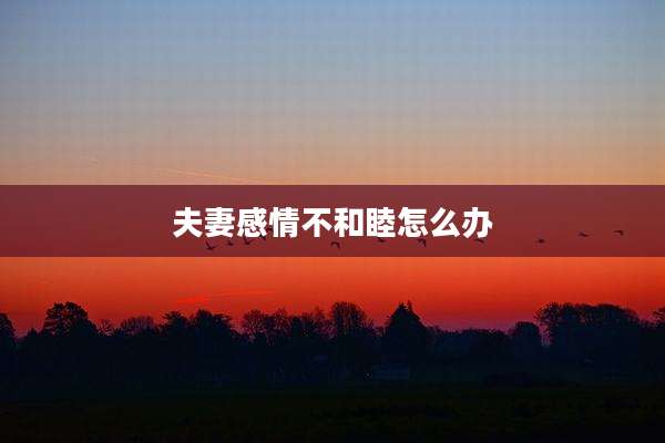 夫妻感情不和睦怎么办