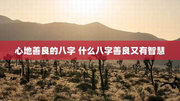 心地善良的八字 什么八字善良又有智慧
