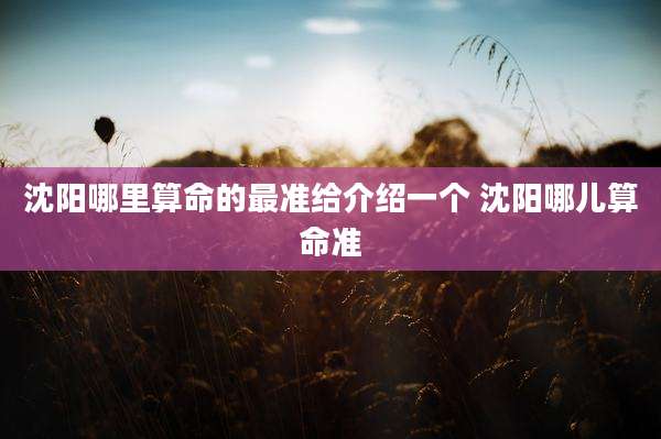 沈阳哪里算命的最准给介绍一个 沈阳哪儿算命准