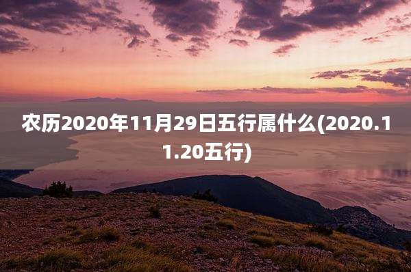 农历2020年11月29日五行属什么(2020.11.20五行)
