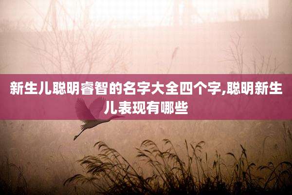 新生儿聪明睿智的名字大全四个字,聪明新生儿表现有哪些