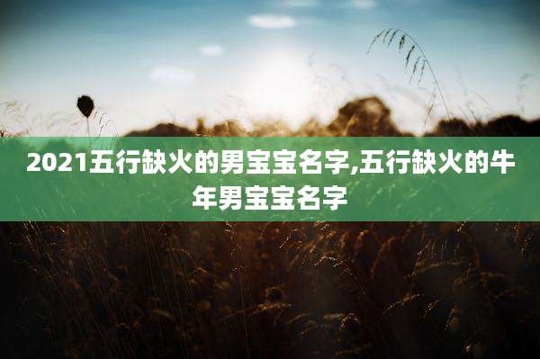 2021五行缺火的男宝宝名字,五行缺火的牛年男宝宝名字