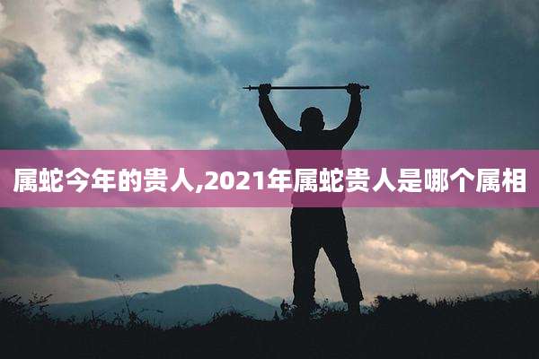 属蛇今年的贵人,2021年属蛇贵人是哪个属相