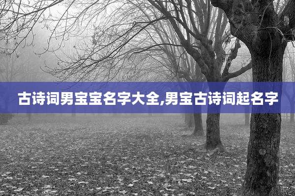 古诗词男宝宝名字大全,男宝古诗词起名字