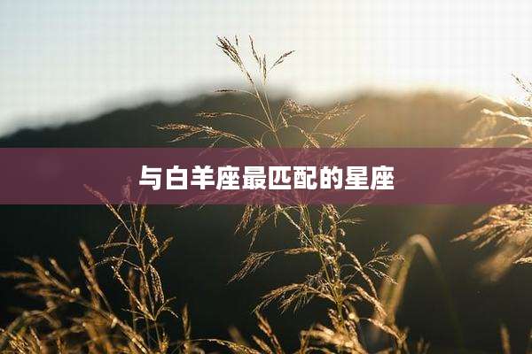 与白羊座最匹配的星座