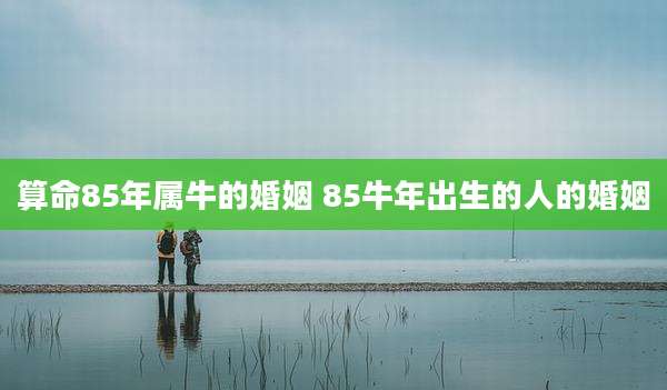 算命85年属牛的婚姻 85牛年出生的人的婚姻