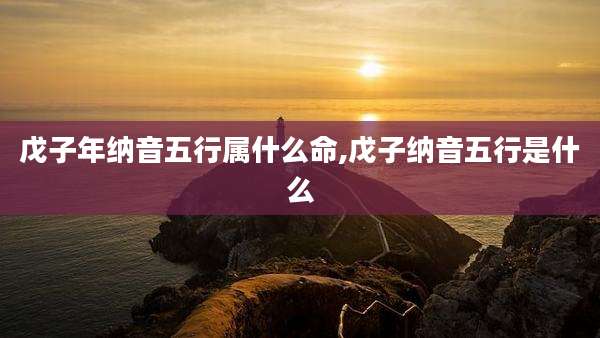 戊子年纳音五行属什么命,戊子纳音五行是什么