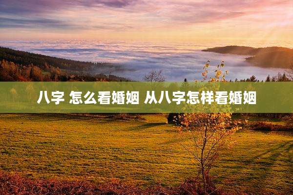 八字 怎么看婚姻 从八字怎样看婚姻