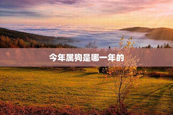 今年属狗是哪一年的