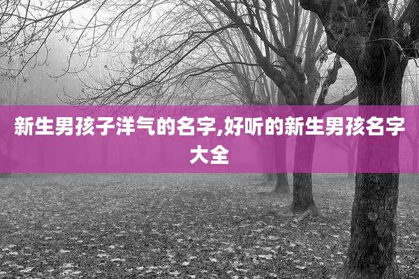 新生男孩子洋气的名字,好听的新生男孩名字大全