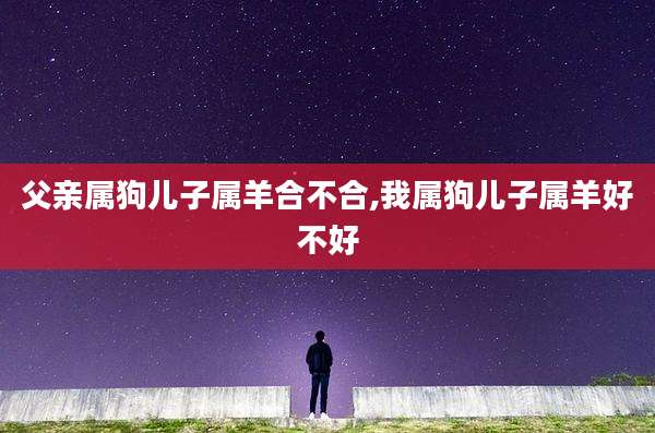 父亲属狗儿子属羊合不合,我属狗儿子属羊好不好