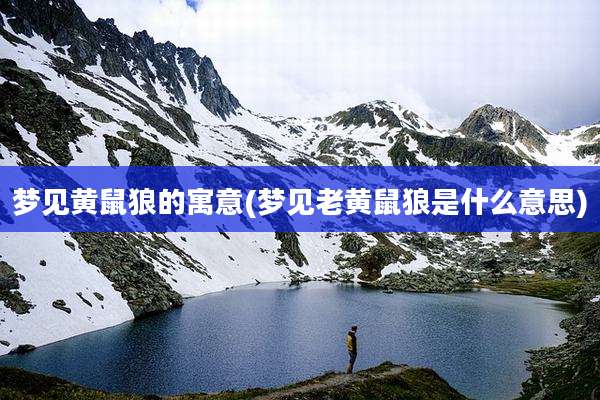 梦见黄鼠狼的寓意(梦见老黄鼠狼是什么意思)