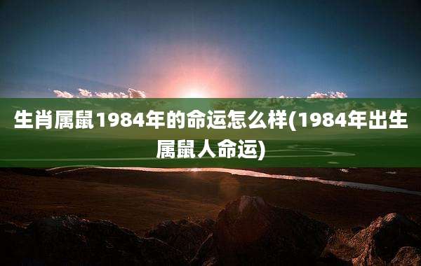 生肖属鼠1984年的命运怎么样(1984年出生属鼠人命运)