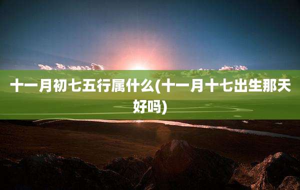 十一月初七五行属什么(十一月十七出生那天好吗)