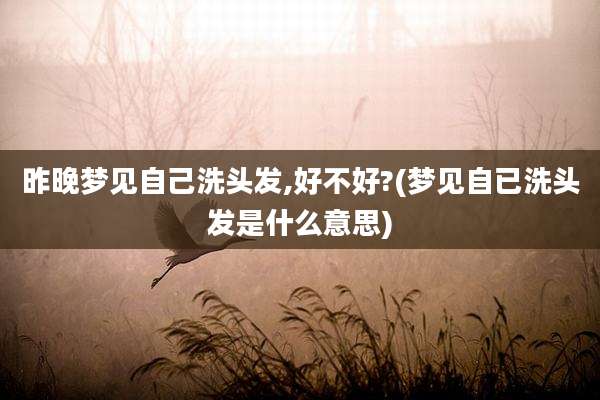 昨晚梦见自己洗头发,好不好?(梦见自已洗头发是什么意思)