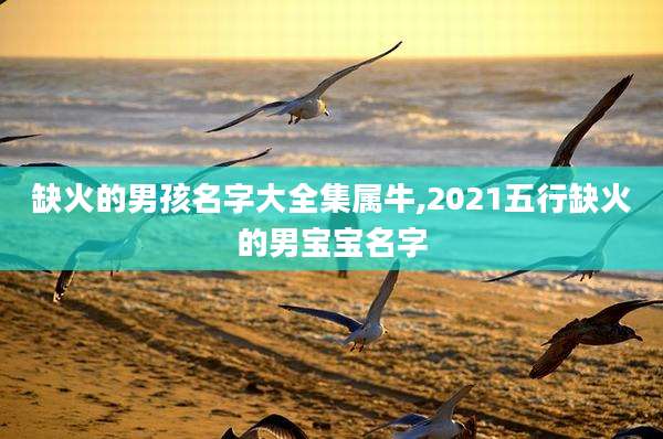 缺火的男孩名字大全集属牛,2021五行缺火的男宝宝名字