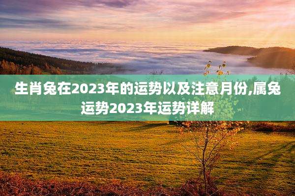 生肖兔在2023年的运势以及注意月份,属兔运势2023年运势详解