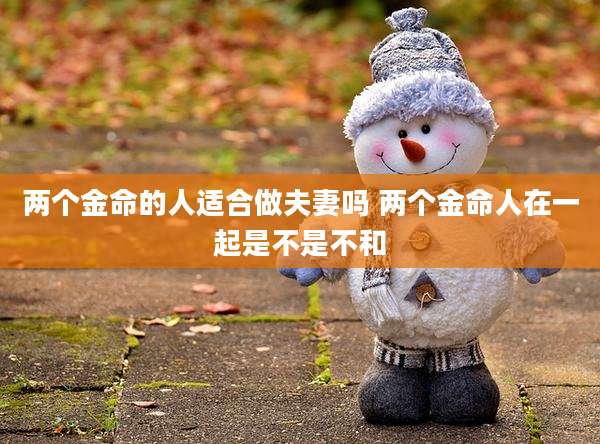 两个金命的人适合做夫妻吗 两个金命人在一起是不是不和