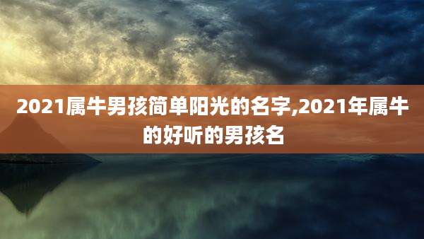 2021属牛男孩简单阳光的名字,2021年属牛的好听的男孩名
