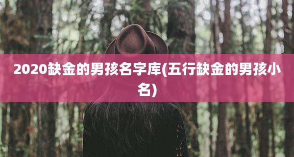2020缺金的男孩名字库(五行缺金的男孩小名)