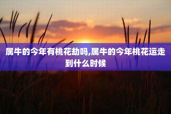 属牛的今年有桃花劫吗,属牛的今年桃花运走到什么时候