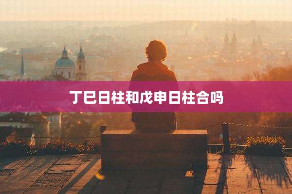 丁巳日柱和戊申日柱合吗