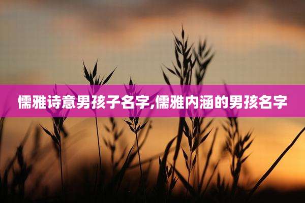 儒雅诗意男孩子名字,儒雅内涵的男孩名字