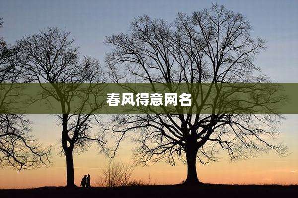 春风得意网名