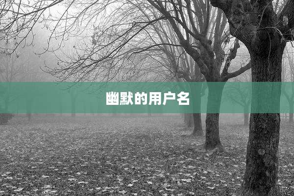 幽默的用户名