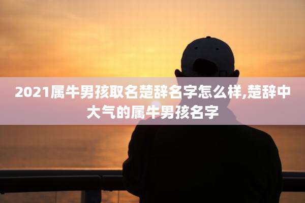 2021属牛男孩取名楚辞名字怎么样,楚辞中大气的属牛男孩名字